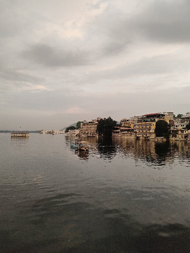 Pet Services in Udaipur